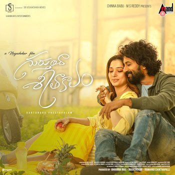 Gurtunda Seetakalam - Naa Songs