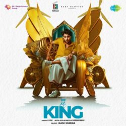 Mr King Telugu Movie songs free download