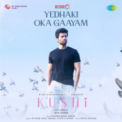 Kushi Telugu Movie songs download