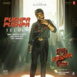 Pushpa 2 - Naa Songs