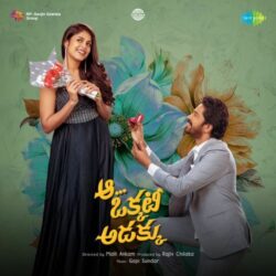 Aa Okkati Adakku songs Download Aa Okkati Adakku Movie songs download