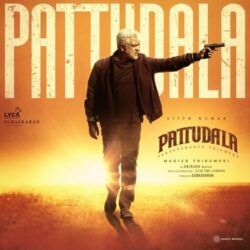 Pattudala Telugu Movie songs download