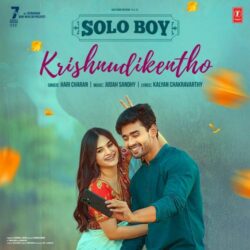 Solo Boy songs Download Solo Boy Telugu Movie songs download